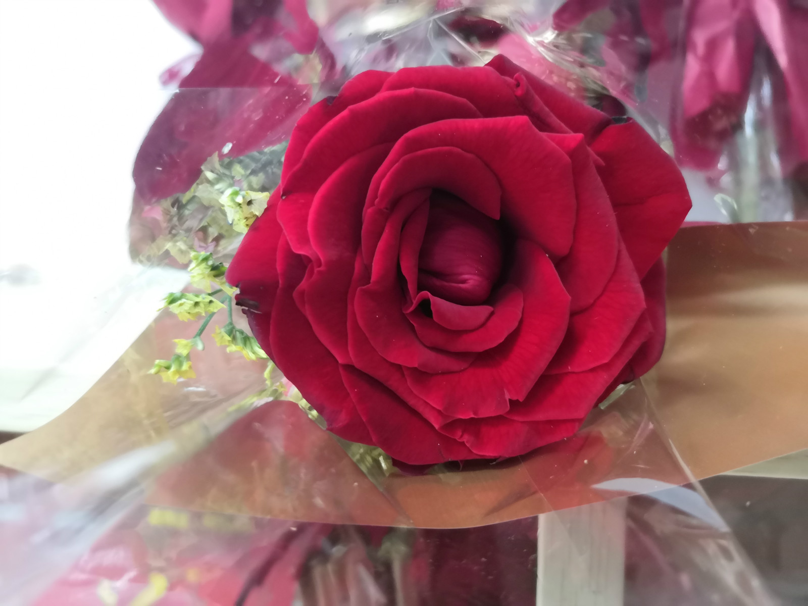 a48ead5103e78013af21aef3070e925_meitu_1.jpg a48ead5103e78013af21aef3070e925_meitu_1.jpg